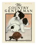 Puppies and the Turtle, c.1916 Prints by Charles Livingston Bull