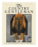 Bloodhound, c.1916 Kunst av Charles Livingston Bull Bloodhound, c.1916 Kunst av Charles Livingston Bull
