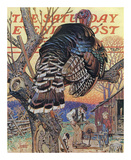Turkey in the Tree, c.1939 Prints by Joseph Christian Leyendecker