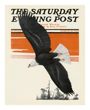 Soaring Eagle, c.1924 Posters av Charles Livingston Bull Soaring Eagle, c.1924 Posters av Charles Livingston Bull