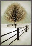 Solitude Framed Canvas Print by David Winston