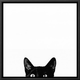 Curiosity Framed Canvas Print by Jon Bertelli