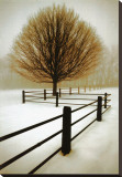 Solitude Stretched Canvas Print by David Winston