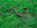 Bicycle Abandoned in a Field,County Wexford, Leinster, Ireland Lámina fotográfica por Richard Cummins Bicycle Abandoned in a Field,County Wexford, Leinster, Ireland Lámina fotográfica por Richard Cummins