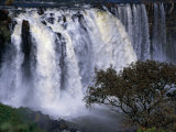 Tississat Falls, Bahar Dar, Amhara, Ethiopia Fotografisk tryk af Jane Sweeney