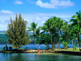 Coconut Island, a Small Island in Hilo Bay, Hawaii, USA Photographic Print by Ann Cecil