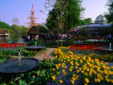Spring Flowers in Bloom in Tivoli Gardens, Copenhagen, Denmark Photographic Print by Anders Blomqvist