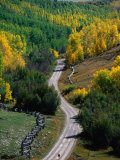 Road Leading Through Autumn Foliage in San Juan Mountains Near Telluride, Telluride, USA Photographie par Woods Wheatcroft