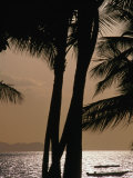 Tropical Island Paradise, Fiji, Pacific Photographie par John Hay