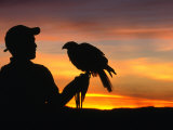 Man holding a Falcon at sunset, Perquin, El Salvador Lámina fotográfica por Alfredo Maiquez Man holding a Falcon at sunset, Perquin, El Salvador Lámina fotográfica por Alfredo Maiquez