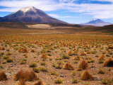 Altiplano Mountains and Scrub, Southwest, Bolivia Photographie par Woods Wheatcroft