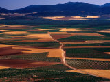 Plains of La Mancha, Spain Photographic Print by Nicholas Pavloff