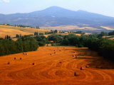 Hay Field with Monte Amiata Behind, Near Pienza, Tuscany, Italy Photographic Print by David Tomlinson