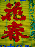 Neon Sign in Ultra-Modern Shinjuku District, Tokyo, Japan Photographic Print by Cheryl Conlon
