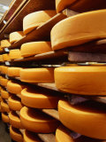 Cheese at Heidi Farm,Tasmania, Australia Photographic Print by John Hay