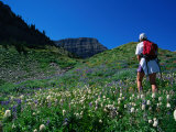 Hiking Mt. Timpanogos in the Wasatch National Forest, Utah, USA Photographic Print by Cheyenne Rouse