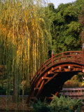 Bridge in Japanese Garden at Huntington Beach, Huntington, USA Photographic Print by Rick Gerharter Bridge in Japanese Garden at Huntington Beach, Huntington, USA Photographic Print by Rick Gerharter