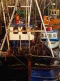 Bateaux de pêche dans le port de Padstow, Padstow, Cornouailles, Angleterre Photographie par Stephen Saks