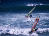 Windsurfing the Tradewinds, Hookipa, Maui, Hawaii, USA Fotografie-Druck von Karl Lehmann