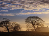 Trees and House Silhouetted in Winter Morning Light, Tyrone, Northern Ireland Photographic Print by Gareth McCormack