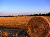 Rolls of Straw in Fields along Highway 26, Georgia, USA Photographic Print by Oliver Strewe