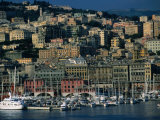 City Above Port and Marina, Genova, Liguria, Italy Fotografie-Druck von Dallas Stribley