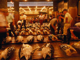 Rows of Giant Tuna for Sale at Tsukiji Central Fish Market, Tokyo, Japan Photographic Print by Oliver Strewe