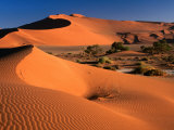 Namib Sand Dunes, Nambia Desert Park, Namib Desert Park, Erongo, Namibia Fotoprint van Carol Polich Namib Sand Dunes, Nambia Desert Park, Namib Desert Park, Erongo, Namibia Fotoprint van Carol Polich