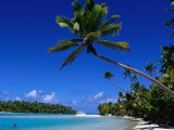 Palm Trees on Beach, Cook Islands Photographic Print by Jean-Bernard Carillet