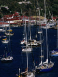 Yachts Moored in Harbour, Gustavia, St. Barts Photographic Print by Wayne Walton
