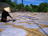 Séchage du papier de riz avant sa découpe en nouilles, Vietnam Photographie par Patrick Syder