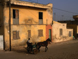 Horse and Cart Passing House, St. Louis, Senegal Fotografisk tryk af Ariadne Van Zandbergen Horse and Cart Passing House, St. Louis, Senegal Fotografisk tryk af Ariadne Van Zandbergen