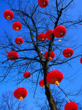 Chinese Lanterns Hanging from Trees in Tivoli Gardens, Copenhagen, Denmark Photographie par Izzet Keribar