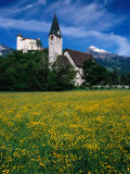 Field of Flowers in Front of Burg (Castle) Gutenburg and Church, Balzers, Liechtenstein Photographic Print by Martin Moos