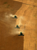Harvest at Two Buttes, Colorado, USA Photographic Print by Jim Wark