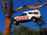 Car Hanging on Tree, Safety Message on Old Coast Road in South-West, Australia Fotografie-Druck von Wayne Walton