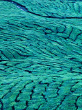 Aerial View of Boh Tea Plantation, Cameron Highlands, Malaysia Photographic Print by Ryan Fox