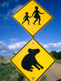 Children Crossing and Koala Crossing Signs on Dirt Road, Wonthaggi, Australia Photographie par Richard Nebesky