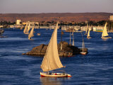 Feluccas on Nile River, Aswan, Egypt Photographie par Wayne Walton