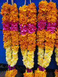 Floral Garland, Tamil Nadu, India Photographic Print by Greg Elms
