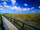 Walkway Through River of Grass, Sawgrass Slough, Pa-Hey-Okee Overlook, Everglades National Park Photographic Print by Witold Skrypczak