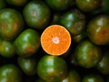 Mandarins for Sale., Serian, Sarawak, Malaysia Photographie par Mark Daffey