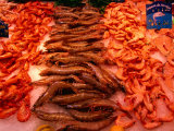 Seafood For Sale, Toulouse, France Lámina fotográfica por Martin Moos