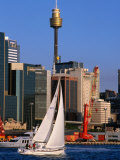 Sailing Around Darling Harbour, Sydney, Australia Fotografisk tryk af Greg Elms
