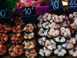 Garlic and onions for sale, Bordeaux, France Photographic Print by Martin Moos