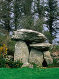 Knockeen Dolmen Near Waterford City, Munster, Ireland Photographie par Greg Gawlowski