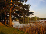 Trees and Lake Outside Aukstadvaris, Trakai, Lithuania Photographie par Jonathan Smith