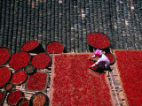 Zhuang Girl Drying Red Peppers on the Roof of Her House, Long Ji, China Photographic Print by Keren Su