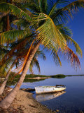 An Empty Boat Rests in Still Water of Storr's Lake, Storr's Lake, Bahamas Photographic Print by Michael Lawrence
