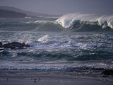 Vagues hivernales et oiseaux de plage à Ballyhiernan Bay, Fanad Head, Irlande Photographie par Gareth McCormack